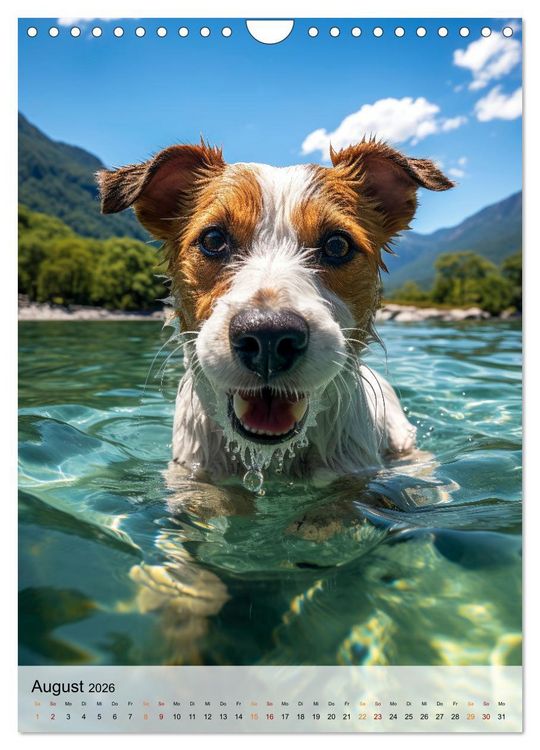 Produktbild: Jack Russel Terrier - furchtlos und viel Selbstvertrauen (Wandkalender 2026 DIN A4 hoch), CALVENDO Monatskalender