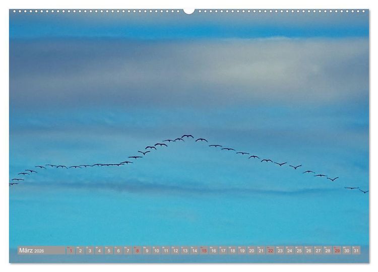 Produktbild: KranichRomantik (Wandkalender 2026 DIN A2 quer), CALVENDO Monatskalender