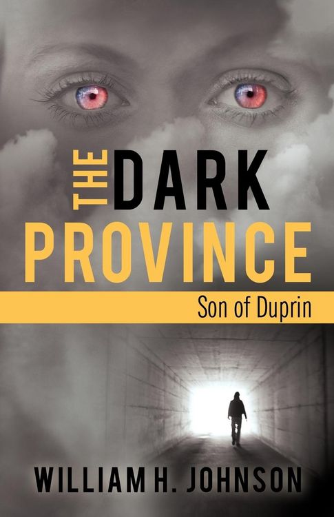 Produktbild: The Dark Province