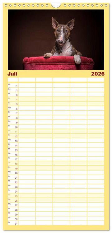 Produktbild: Familienplaner 2026 - Bullterrier mit 5 Spalten (Wandkalender, 21 x 45 cm) CALVENDO