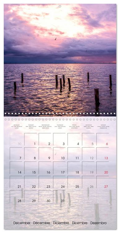 Produktbild: Florida &ndash; Discoveries in the Sunshine State (Wall Calendar 2026 12 &times; 12 Inch) CALVENDO 12 Month Wall Calendar