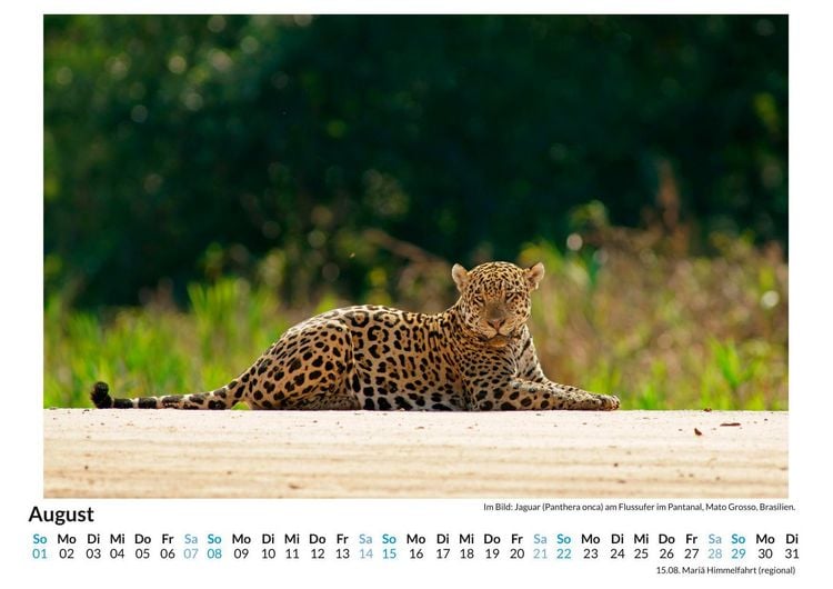 Produktbild: Jaguar