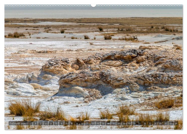 Produktbild: ETOSHA &ndash; Namibia Highlights (Wandkalender 2026 DIN A2 quer), CALVENDO Monatskalender