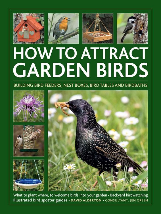 Produktbild: How to Attract Garden Birds