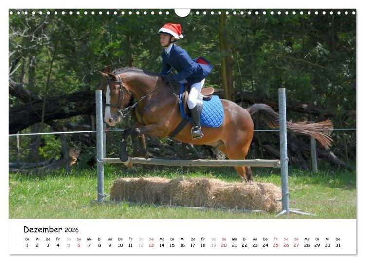 Produktbild: Pony Springreiten (Wandkalender 2026 DIN A3 quer), CALVENDO Monatskalender