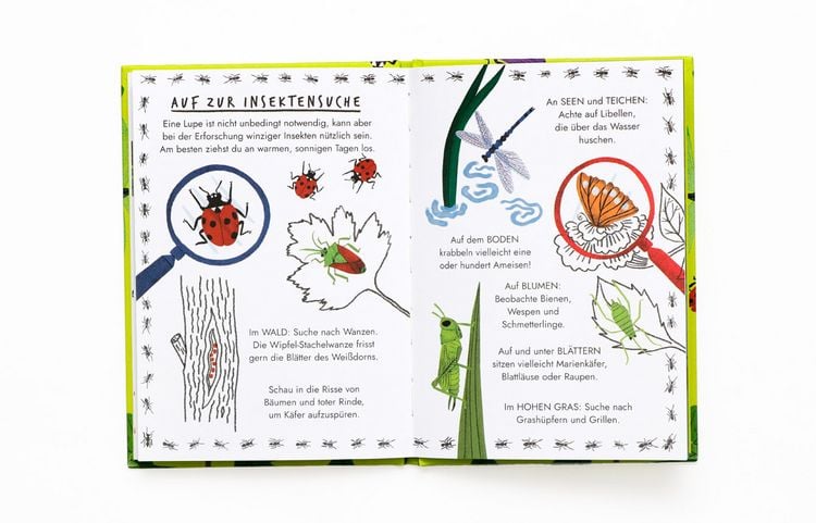 Produktbild: Hallo Insekten