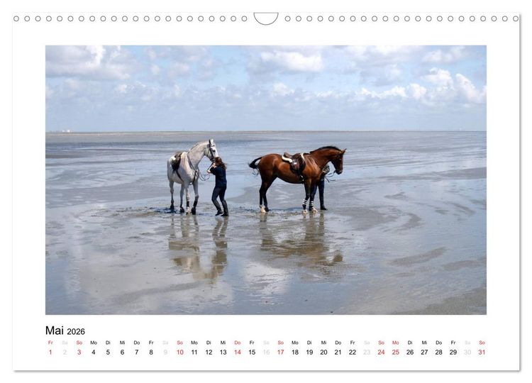 Produktbild: Die sch&ouml;ne Insel Neuwerk (Wandkalender 2026 DIN A3 quer), CALVENDO Monatskalender