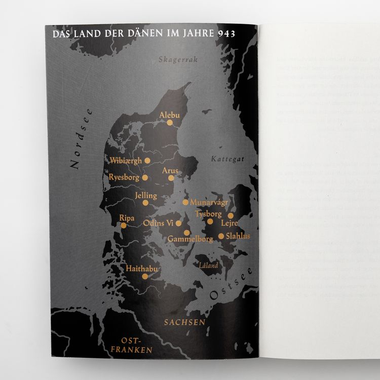 Produktbild: Millennium Kingdom: Das Blut des K&ouml;nigs