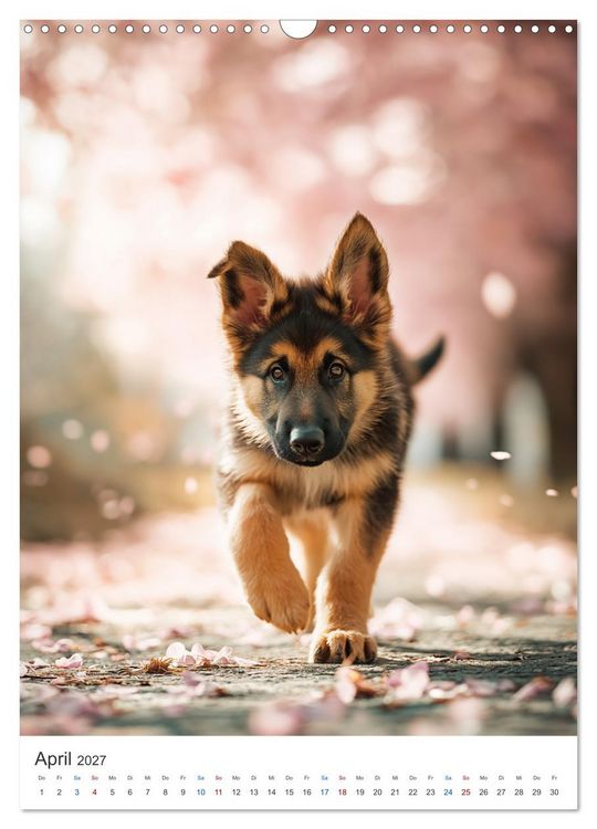 Produktbild: Seelenblick Sch&auml;ferhund (Wandkalender 2027 DIN A3 hoch), CALVENDO Monatskalender