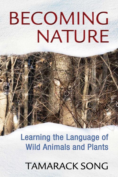 Produktbild: Becoming Nature