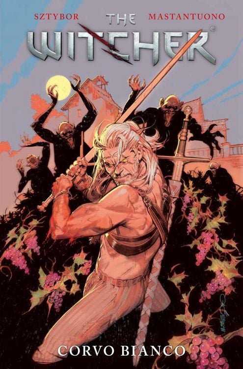 Produktbild: The Witcher
