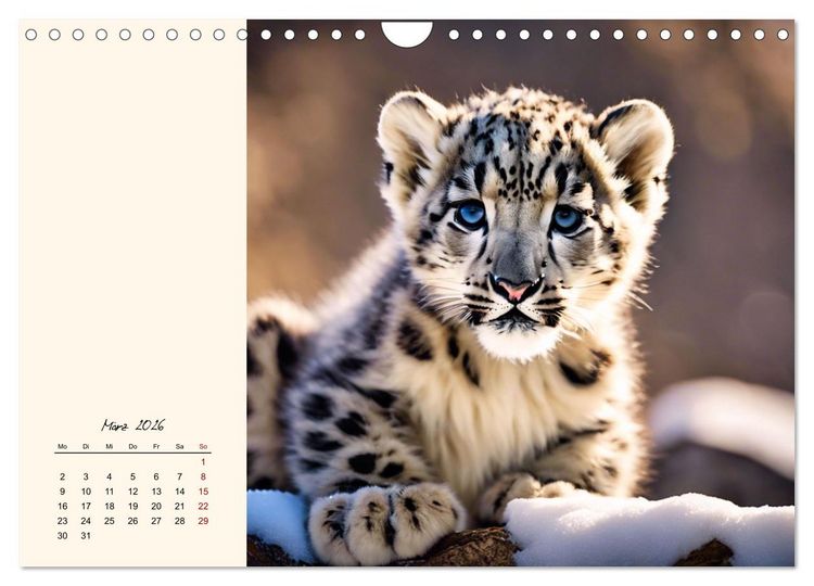 Produktbild: Im Reich der Schneeleoparden (Wandkalender 2026 DIN A4 quer), CALVENDO Monatskalender