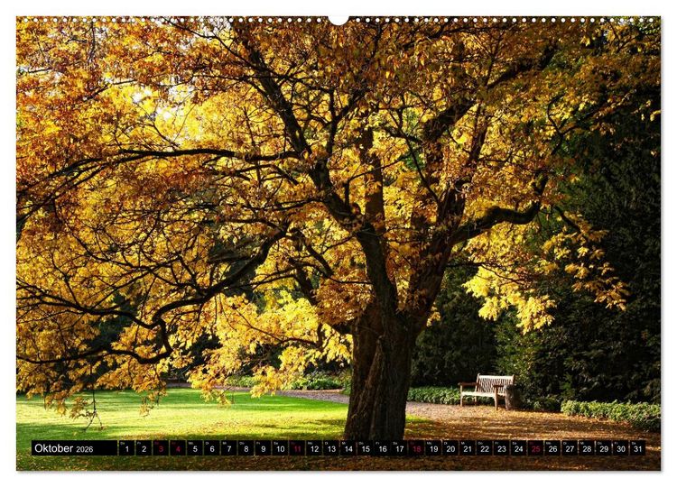 Produktbild: Entschleunigung - Zeit zum Durchatmen (Wandkalender 2026 DIN A2 quer), CALVENDO Monatskalender