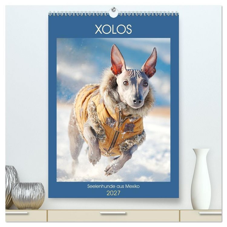 Produktbild: Xolos. Seelenhunde aus Mexiko (hochwertiger Premium Wandkalender 2027 DIN A2 hoch), Kunstdruck in Hochglanz