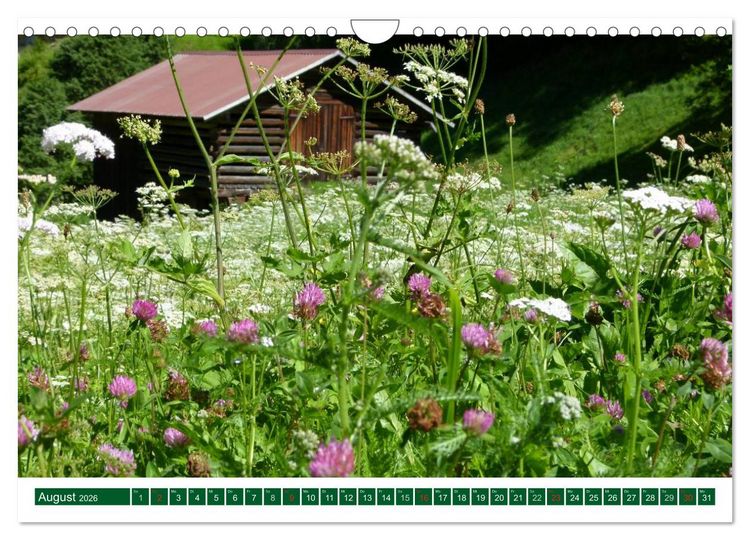 Produktbild: Montafon (Wandkalender 2026 DIN A4 quer), CALVENDO Monatskalender