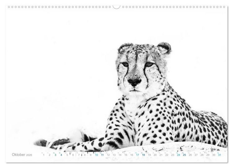 Produktbild: AFRIKA - Schwarz-weiss Fotografien im modernen "High Key" Look (hochwertiger Premium Wandkalender 2026 DIN A2 quer), Kunstdruck in Hochglanz