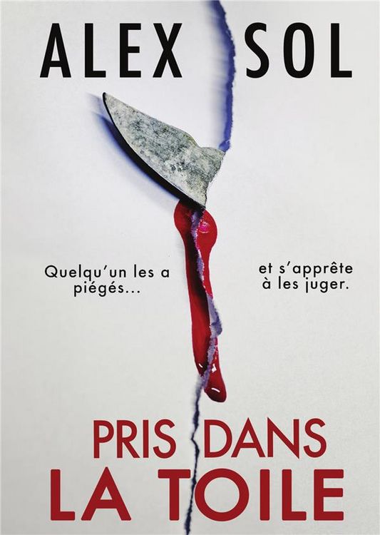 Produktbild: Pris dans la toile