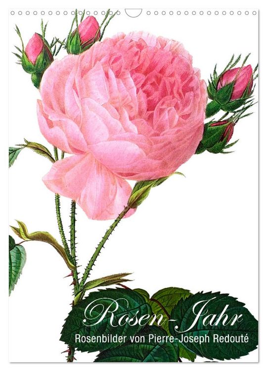 Produktbild: Rosen-Jahr (Wandkalender 2026 DIN A3 hoch), CALVENDO Monatskalender