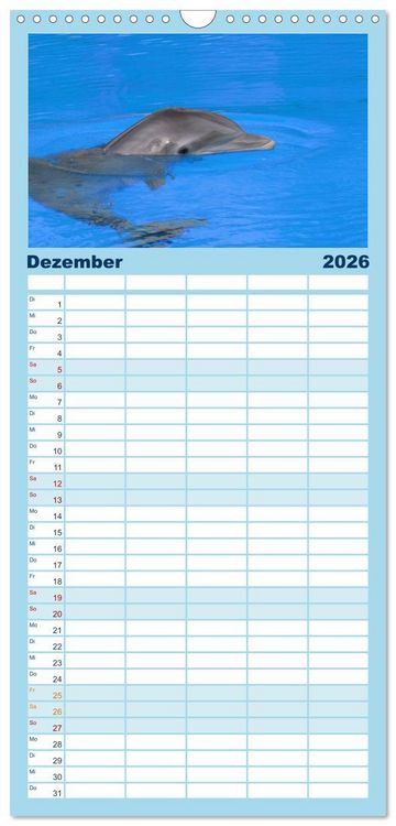Produktbild: Familienplaner 2026 - Delfine - L&auml;chelnde Intelligenz mit 5 Spalten (Wandkalender, 21 x 45 cm) CALVENDO