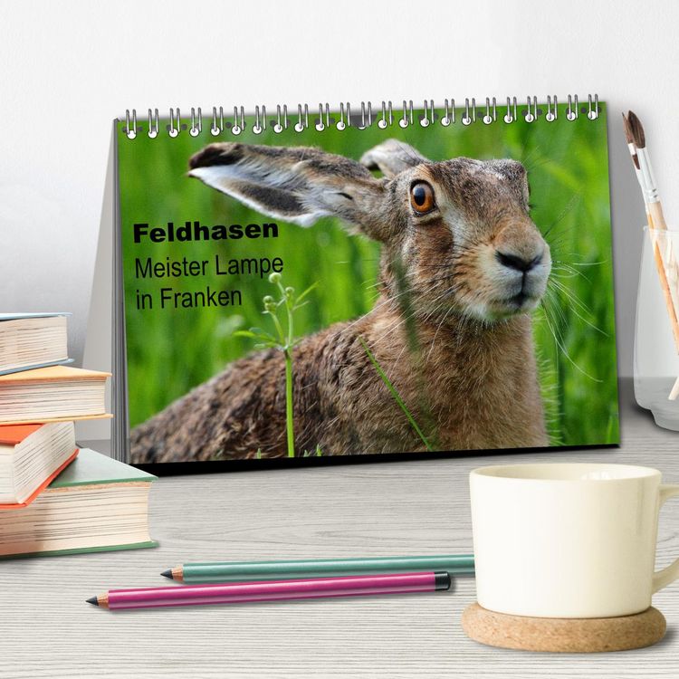 Produktbild: Feldhasen - Meister Lampe in Franken (Tischkalender 2026 DIN A5 quer), CALVENDO Monatskalender