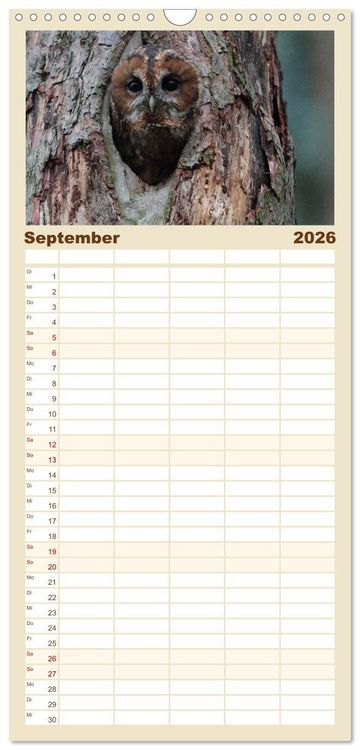 Produktbild: Familienplaner 2026 - Heimische Eulen und Greife mit 5 Spalten (Wandkalender, 21 x 45 cm) CALVENDO