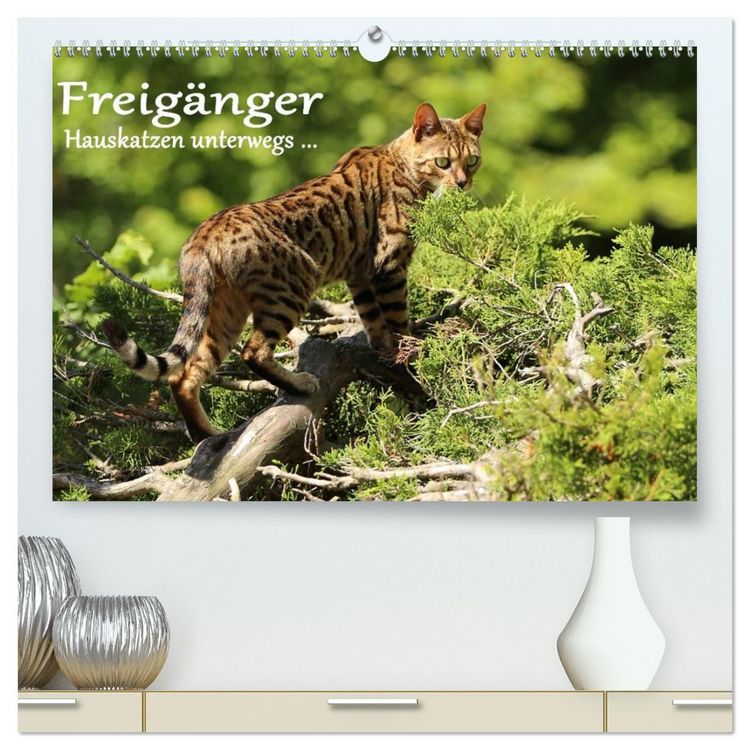 Produktbild: Freig&auml;nger - Hauskatzen unterwegs (hochwertiger Premium Wandkalender 2026 DIN A2 quer), Kunstdruck in Hochglanz