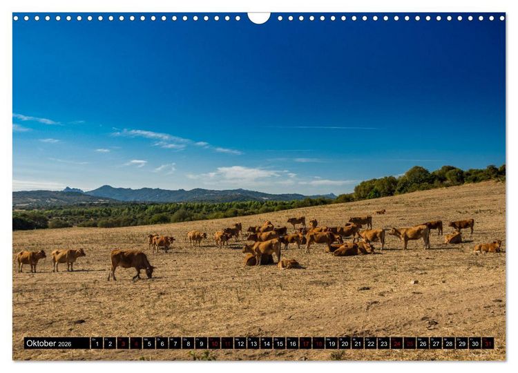 Produktbild: Wildes Sardinien 2026 (Wandkalender 2026 DIN A3 quer), CALVENDO Monatskalender