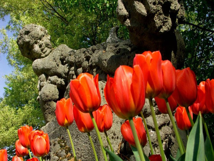 Produktbild: CALVENDO Puzzle Poensgen Park, Ratingen | 1000 Teile Lege-Gr&ouml;&szlig;e 64x48cm Foto-Puzzle f&uuml;r gl&uuml;ckliche Stunden