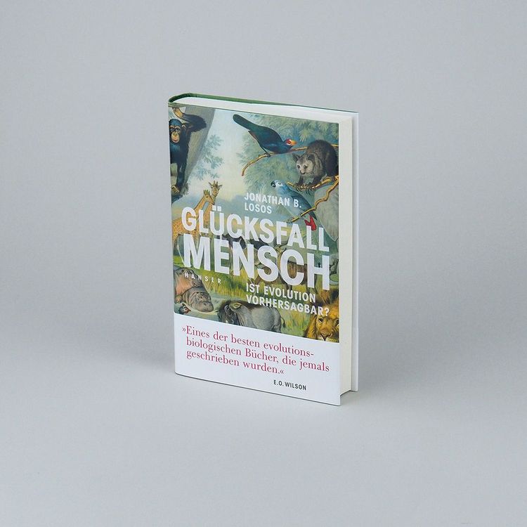Produktbild: Gl&uuml;cksfall Mensch