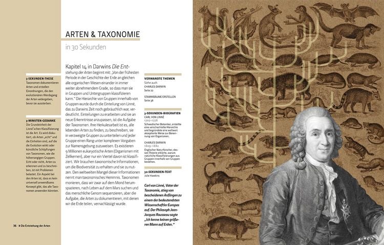 Produktbild: Die Evolution in 30 Sekunden