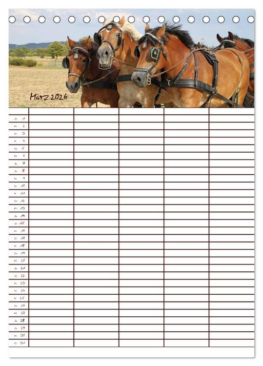 Produktbild: Der Kaltblut-Familienplaner (Tischkalender 2026 DIN A5 hoch), CALVENDO Monatskalender