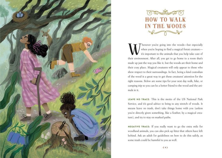 Produktbild: How to Spot a Magical Woodland Creature