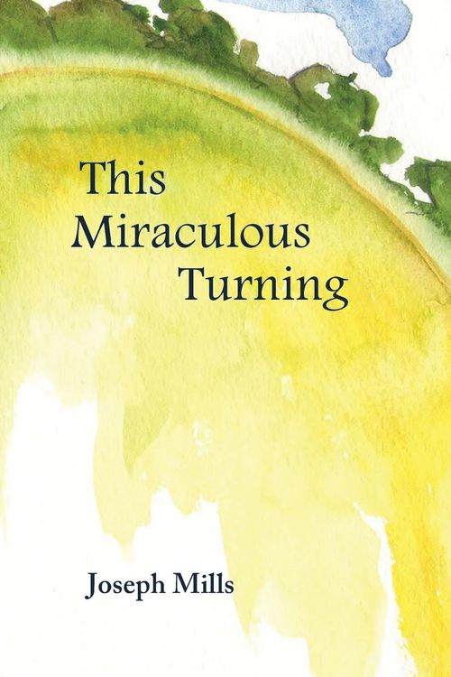 Produktbild: This Miraculous Turning
