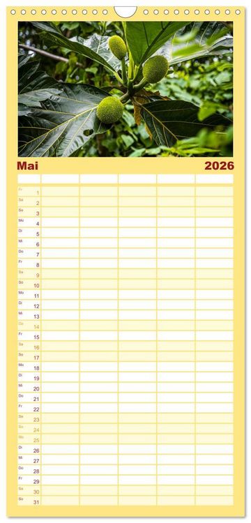 Produktbild: Familienplaner 2026 - Fr&uuml;chte der Karibik mit 5 Spalten (Wandkalender, 21 x 45 cm) CALVENDO