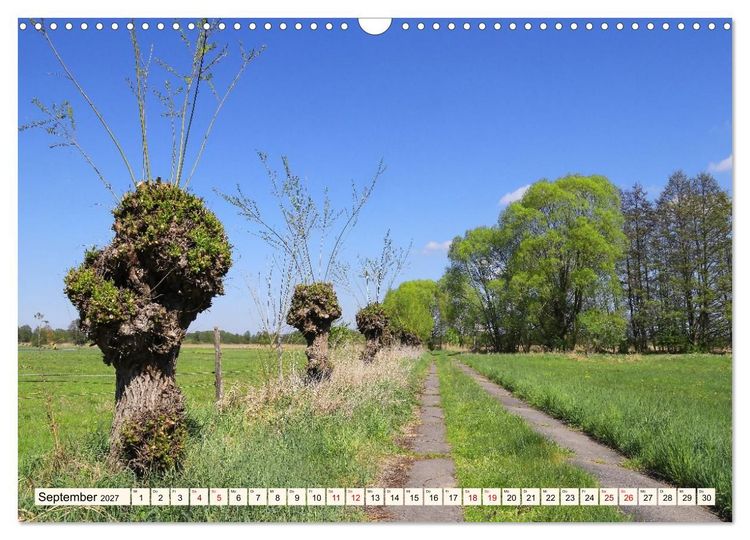 Produktbild: Brandenburg - Drei D&ouml;rfer im Naturpark Nuthe-Nieplitz - Fresdorf, St&uuml;cken, K&ouml;rzin (Wandkalender 2027 DIN A3 quer), CALVENDO Monatskalender