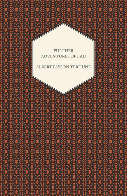 Produktbild: Further Adventures of Lad