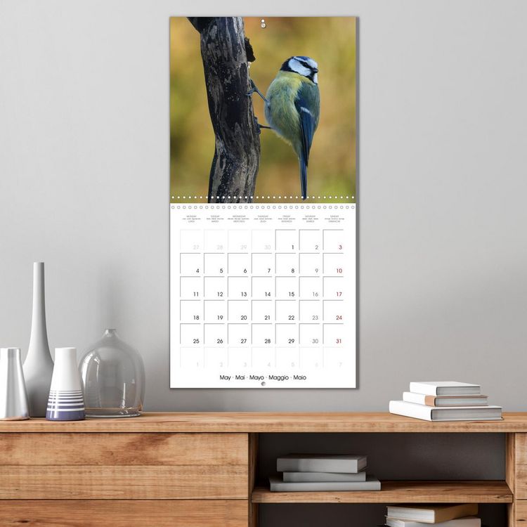 Produktbild: M&eacute;sange bleue en G&acirc;tinais (Calendrier mural carr&eacute; 2026 30x30 cm) Calendrier double avec une page pour vos prises de notes