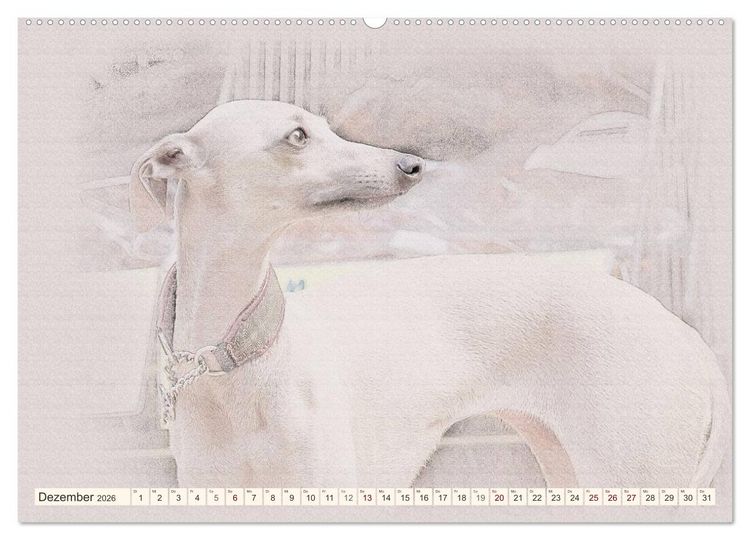 Produktbild: Windspiele 2026 (hochwertiger Premium Wandkalender 2026 DIN A2 quer), Kunstdruck in Hochglanz