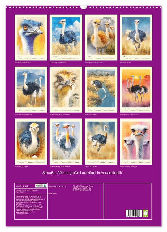 Produktbild: Strau&szlig;e. Afrikas gro&szlig;e Laufv&ouml;gel in Aquarelloptik (Wandkalender 2027 DIN A2 hoch), CALVENDO Monatskalender