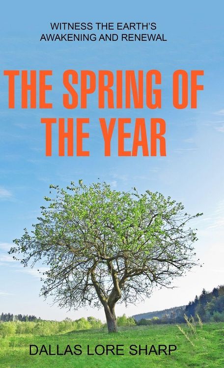 Produktbild: The Spring of the Year