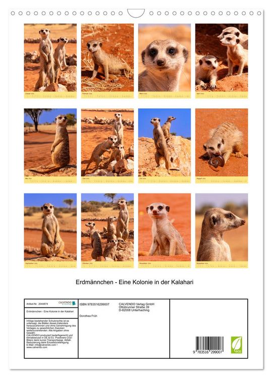Produktbild: Erdm&auml;nnchen - Eine Kolonie in der Kalahari (Wandkalender 2026 DIN A3 hoch), CALVENDO Monatskalender
