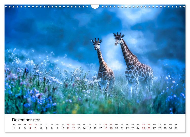 Produktbild: Sanfte Riesen - Giraffen in ihrer Welt (Wandkalender 2027 DIN A3 quer), CALVENDO Monatskalender