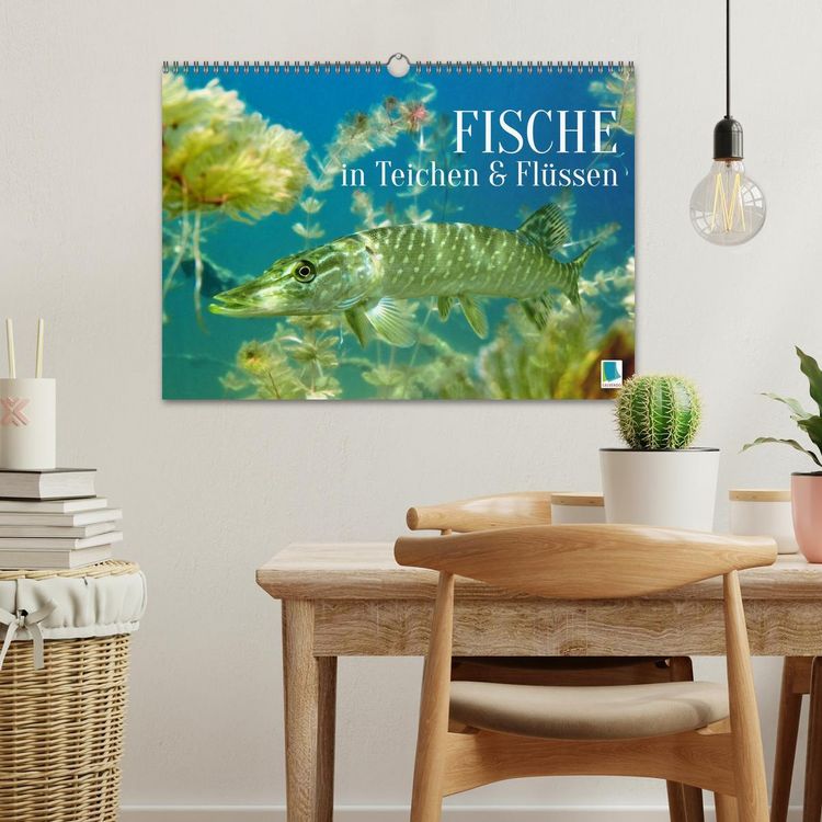 Produktbild: Fische in Teichen und Fl&uuml;ssen (Wandkalender 2026 DIN A3 quer), CALVENDO Monatskalender