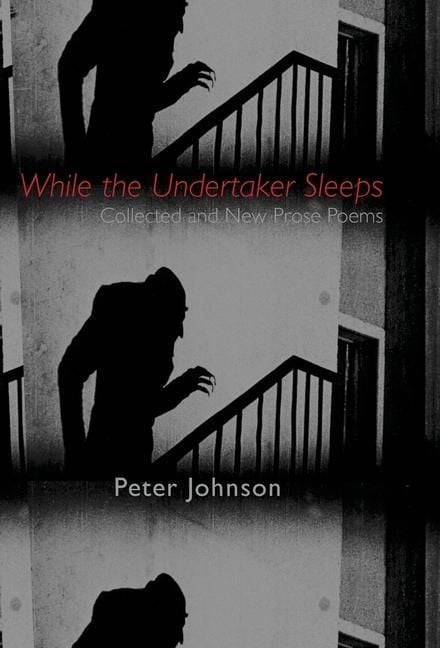 Produktbild: While the Undertaker Sleeps