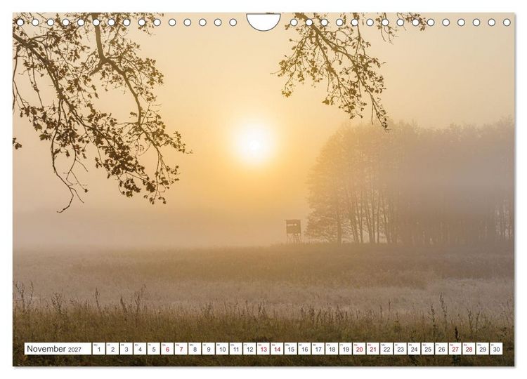 Produktbild: Natur und Tierparadies (Wandkalender 2027 DIN A4 quer), CALVENDO Monatskalender