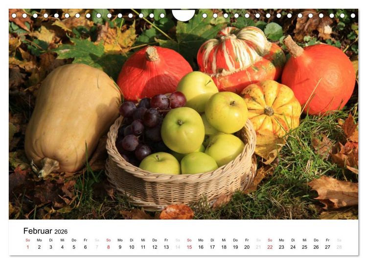 Produktbild: Alte Apfelsorten (Wandkalender 2026 DIN A4 quer), CALVENDO Monatskalender