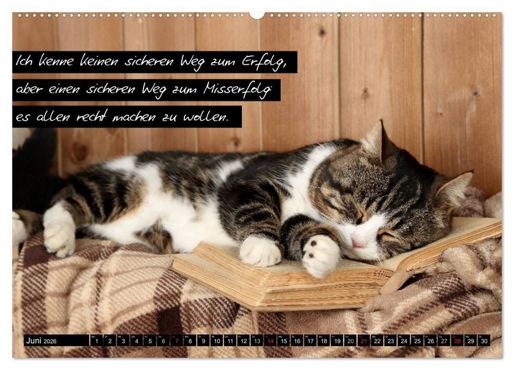 Produktbild: Der "philosophische" Katzenkalender 2026 (hochwertiger Premium Wandkalender 2026 DIN A2 quer), Kunstdruck in Hochglanz