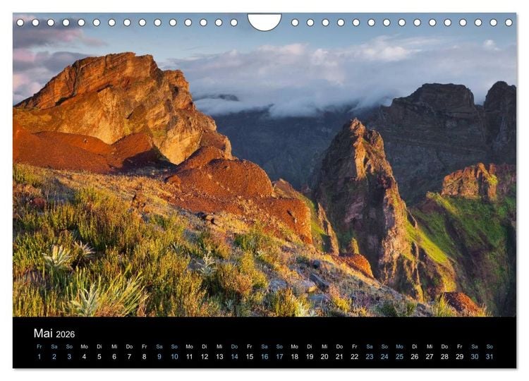 Produktbild: Wildes Europa 2026 (Wandkalender 2026 DIN A4 quer), CALVENDO Monatskalender