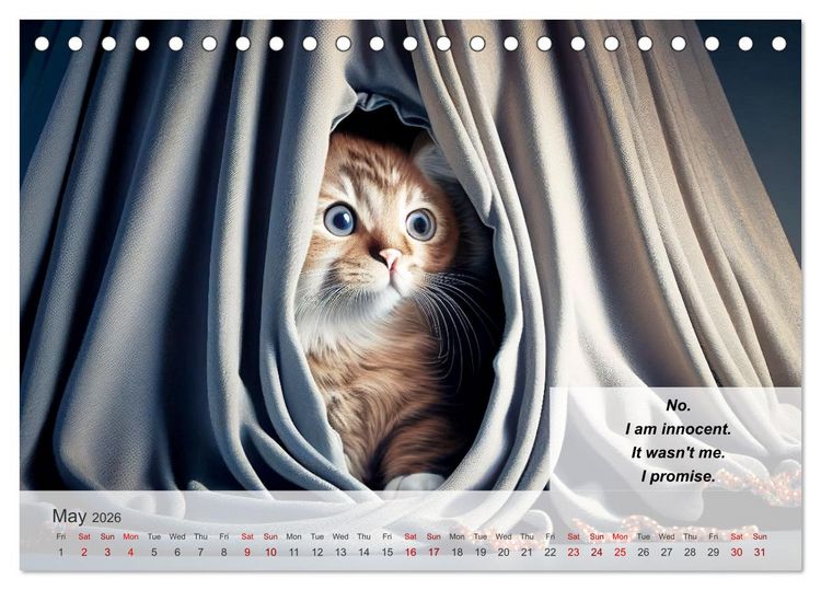 Produktbild: The humoristic cat guide (Desk Calendar 2026 DIN A5 landscape), CALVENDO 12 Month DeskCalendar