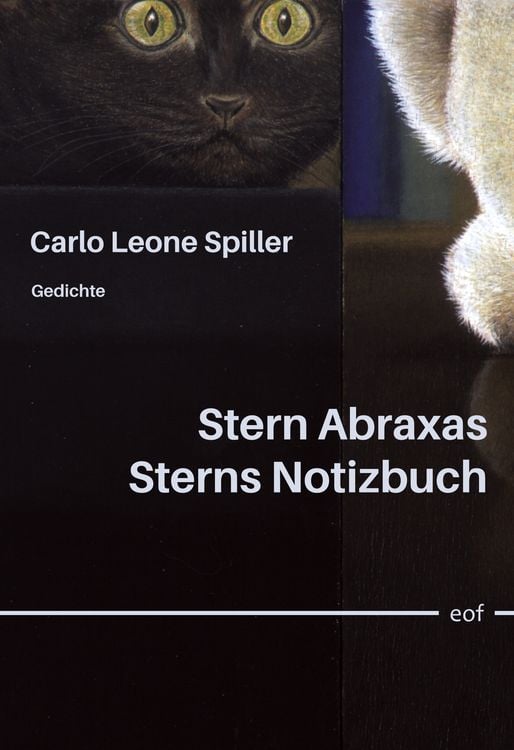 Produktbild: Stern Abraxas Sterns Notizbuch